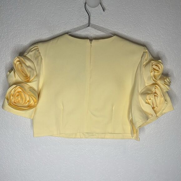 NWT Luxe Dress Rose-appliqué Cropped Top / Skirt Set In Gelb Yellow Large - Picture 5 of 16